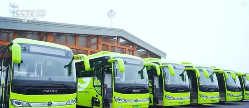 創(chuàng)新迭代、跨界融合與國(guó)際合作 中國(guó)新能源汽車產(chǎn)業(yè)海外投資勢(shì)頭強(qiáng)勁